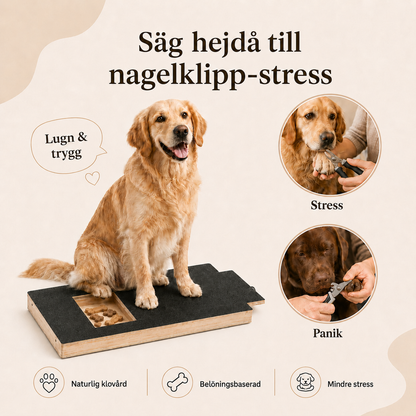 Wiggleton Nail Ease Board