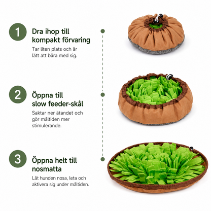 Wiggleton Sniff & Seek Bowl